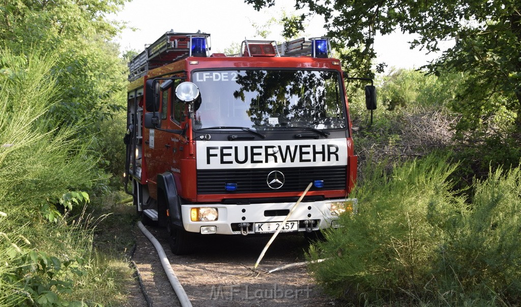 Waldbrand Koeln Hoehenhaus Hoehenfelder Mauspfad P056.JPG - Miklos Laubert